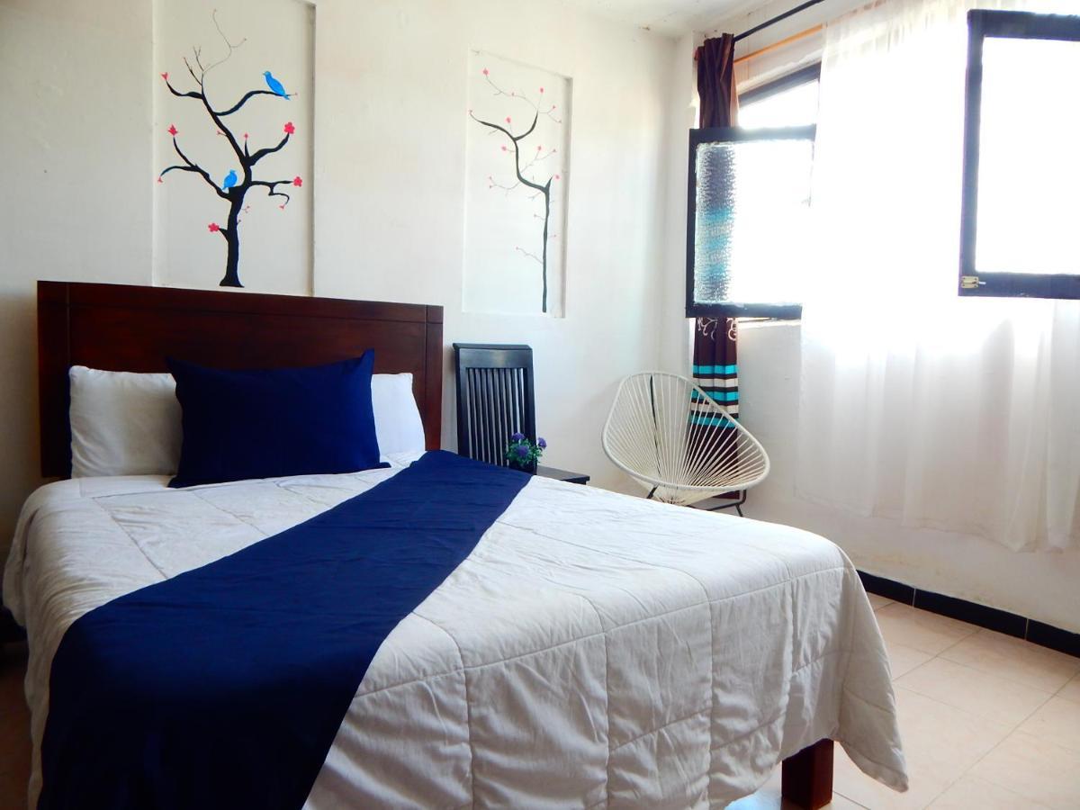 Hotel Casona De Las Aves Guanajuato Luaran gambar